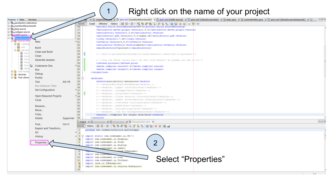 Accessing the properties of your project